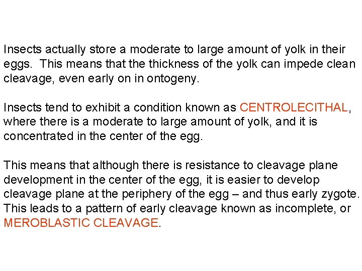 Insects actually store a moderate to large amount of yolk in their eggs. This