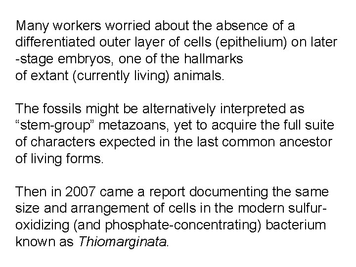 Many workers worried about the absence of a differentiated outer layer of cells (epithelium)