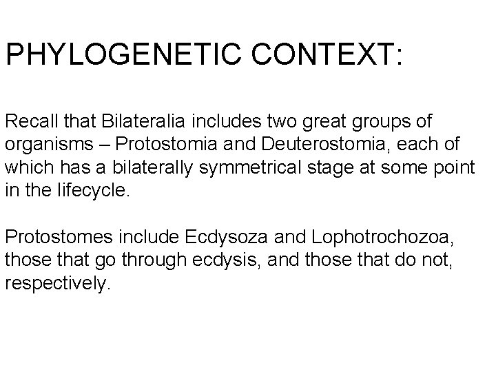 PHYLOGENETIC CONTEXT: Recall that Bilateralia includes two great groups of organisms – Protostomia and