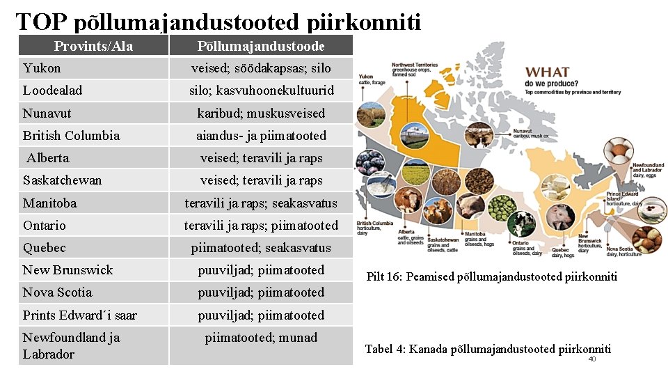 TOP põllumajandustooted piirkonniti Provints/Ala Yukon Põllumajandustoode veised; söödakapsas; silo Loodealad silo; kasvuhoonekultuurid Nunavut karibud;