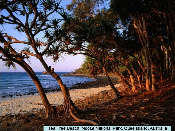 Tea Tree Beach, Noosa National Park, Queensland, Australia 