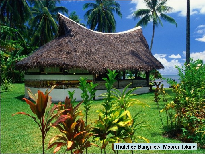Thatched Bungalow, Moorea Island 