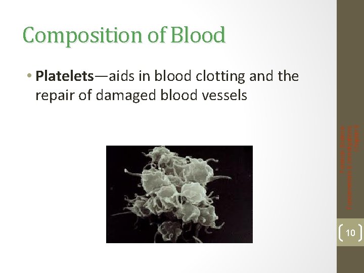 Composition of Blood Forensic Science: Fundamentals & Investigations, Chapter 8 • Platelets—aids in blood