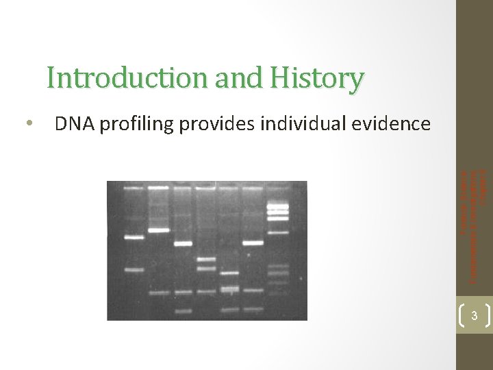 Introduction and History Forensic Science: Fundamentals & Investigations, Chapter 8 • DNA profiling provides