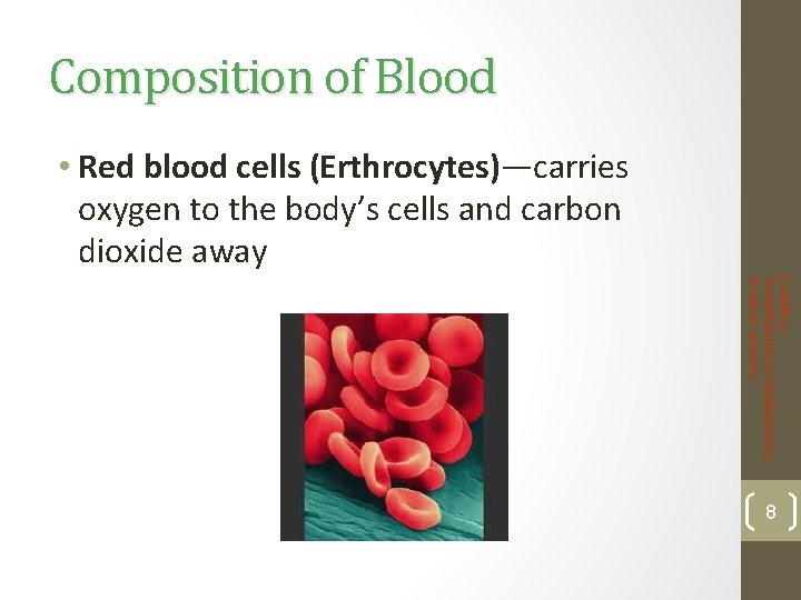 Composition of Blood Forensic Science: Fundamentals & Investigations, Chapter 8 • Red blood cells