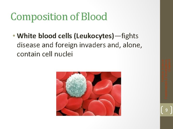 Composition of Blood Forensic Science: Fundamentals & Investigations, Chapter 8 • White blood cells