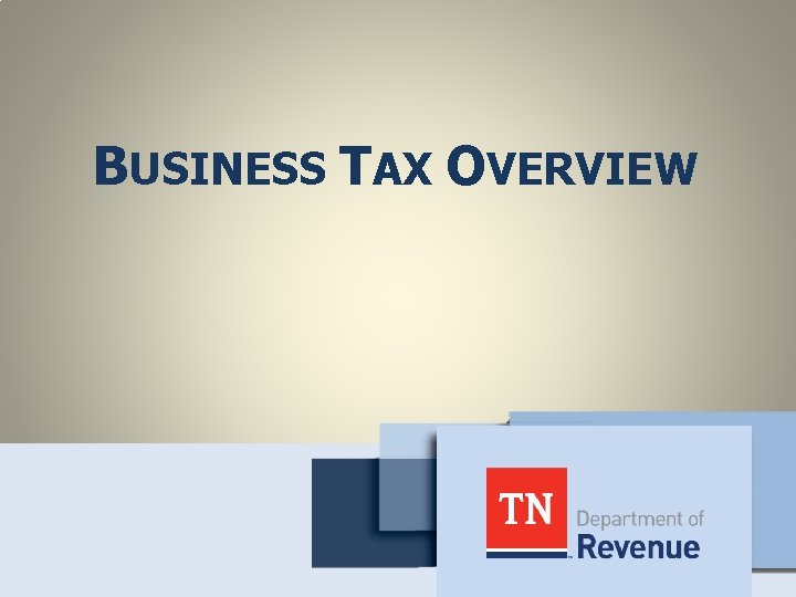 BUSINESS TAX OVERVIEW 