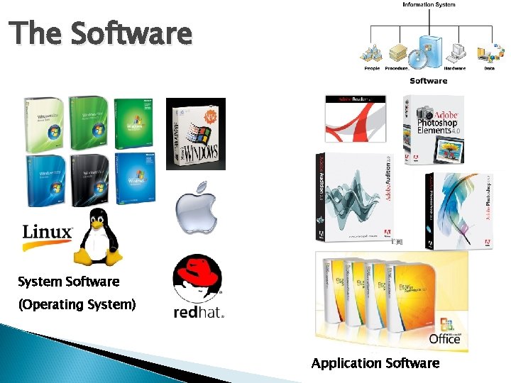 The Software System Software (Operating System) Application Software 