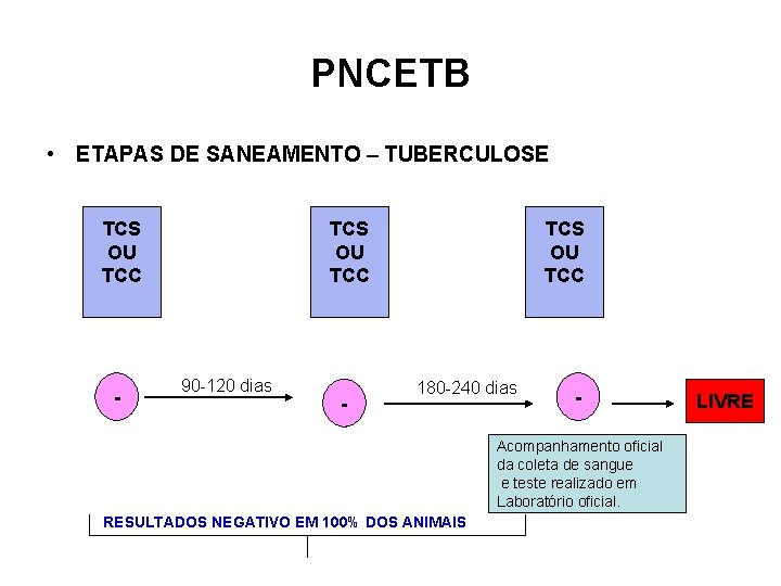 PNCETB • ETAPAS DE SANEAMENTO – TUBERCULOSE TCS OU TCC - TCS OU TCC