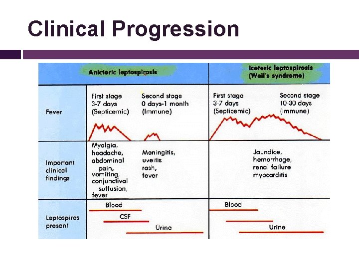 Clinical Progression 