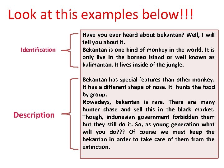 Look at this examples below!!! Identification Have you ever heard about bekantan? Well, I Look at this examples below!!! Identification Have you ever heard about bekantan? Well, I