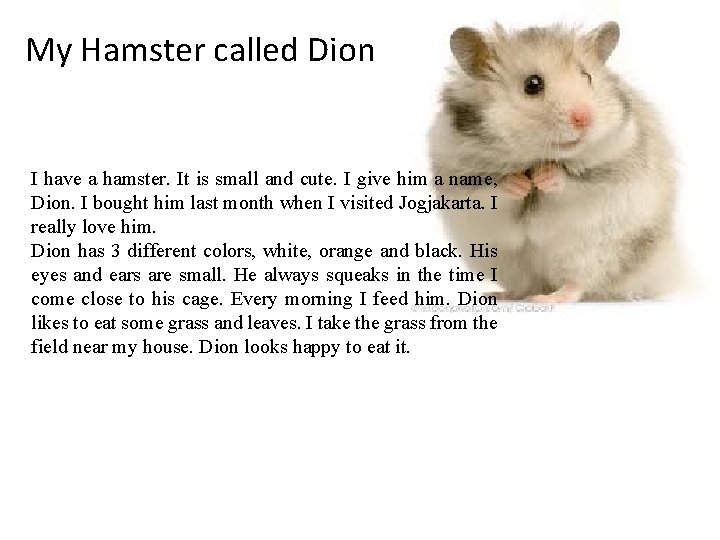 My Hamster called Dion I have a hamster. It is small and cute. I My Hamster called Dion I have a hamster. It is small and cute. I