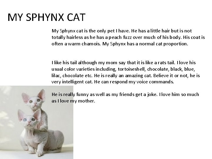 MY SPHYNX CAT My Sphynx cat is the only pet I have. He has MY SPHYNX CAT My Sphynx cat is the only pet I have. He has