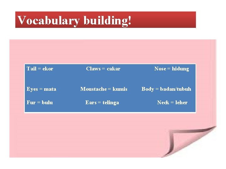 Vocabulary building! Tail = ekor Claws = cakar Eyes = mata Moustache = kumis Vocabulary building! Tail = ekor Claws = cakar Eyes = mata Moustache = kumis