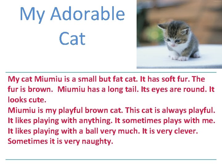 My Adorable Cat My cat Miumiu is a small but fat cat. It has My Adorable Cat My cat Miumiu is a small but fat cat. It has