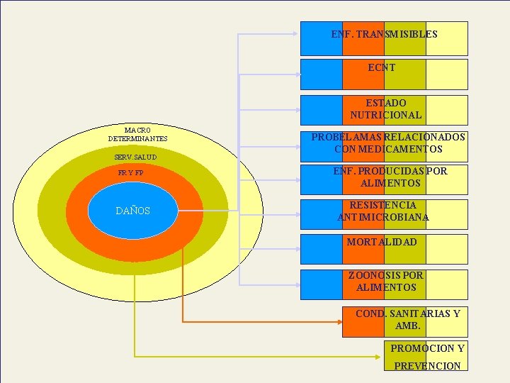 ENF. TRANSMISIBLES ECNT ESTADO NUTRICIONAL MACRO DETERMINANTES SERV. SALUD FR Y FP DAÑOS PROBELAMAS