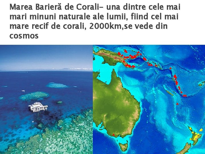 Marea Barieră de Corali- una dintre cele mai mari minuni naturale lumii, fiind cel