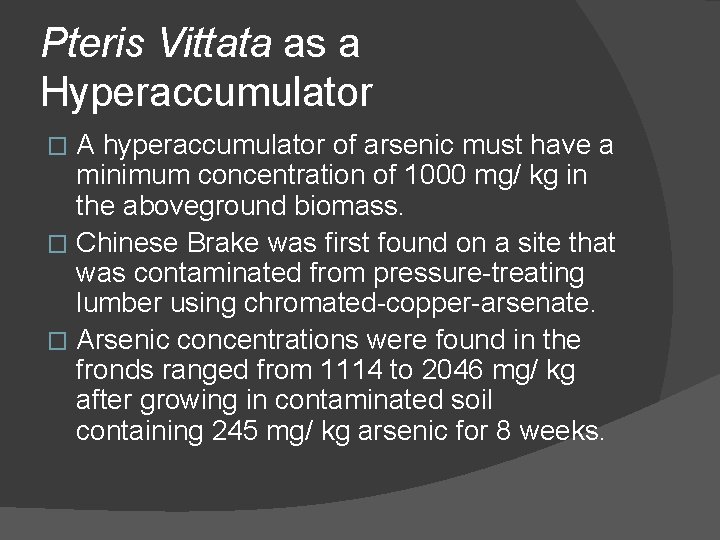 Pteris Vittata as a Hyperaccumulator A hyperaccumulator of arsenic must have a minimum concentration Pteris Vittata as a Hyperaccumulator A hyperaccumulator of arsenic must have a minimum concentration