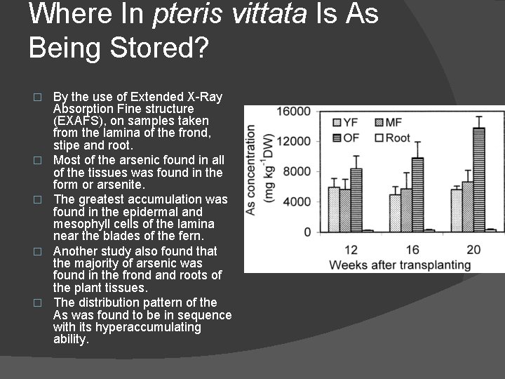 Where In pteris vittata Is As Being Stored? � � � By the use Where In pteris vittata Is As Being Stored? � � � By the use
