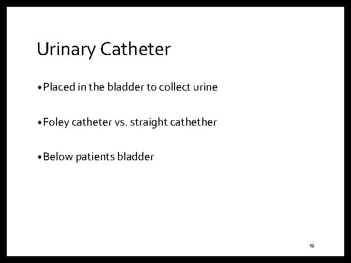 Urinary Catheter • Placed in the bladder to collect urine • Foley catheter vs.