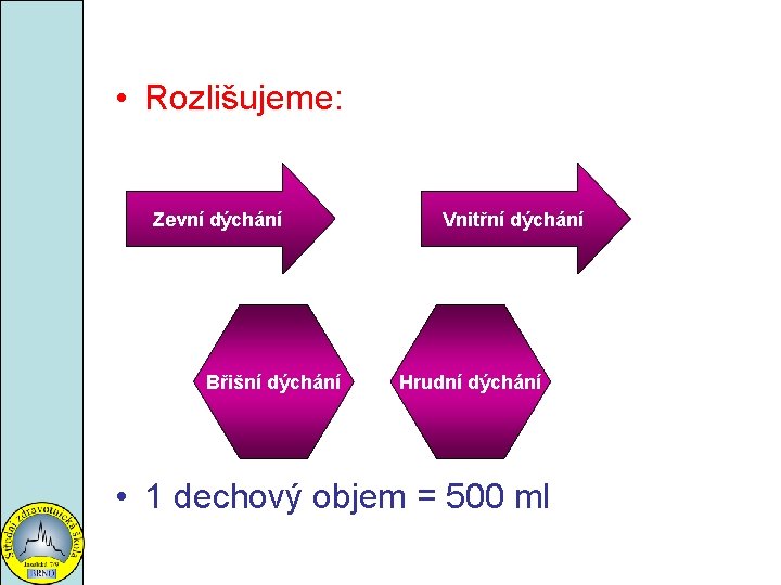  • Rozlišujeme: Zevní dýchání Břišní dýchání Vnitřní dýchání Hrudní dýchání • 1 dechový