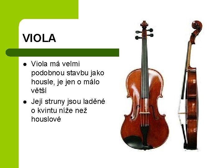 VIOLA l l Viola má velmi podobnou stavbu jako housle, je jen o málo