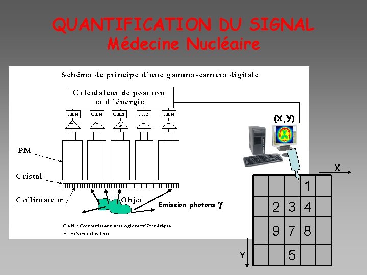 QUANTIFICATION DU SIGNAL Médecine Nucléaire (X, Y) X Emission photons 1 2 3 4