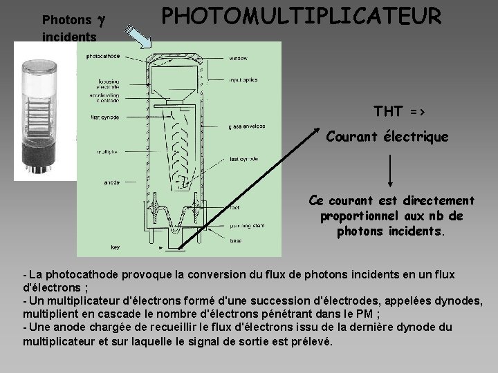  Photons g incidents PHOTOMULTIPLICATEUR THT => Courant électrique Ce courant est directement proportionnel