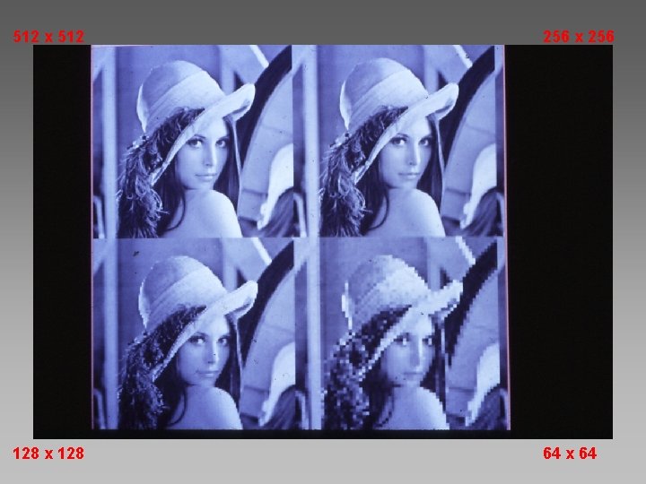 512 x 512 256 x 256 128 x 128 64 x 64 
