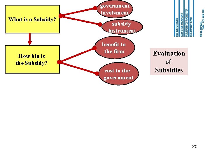 government involvment What is a Subsidy? How big is the Subsidy? subsidy instrument benefit