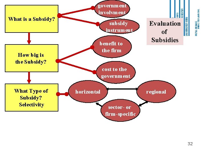 government involvment What is a Subsidy? How big is the Subsidy? subsidy instrument benefit