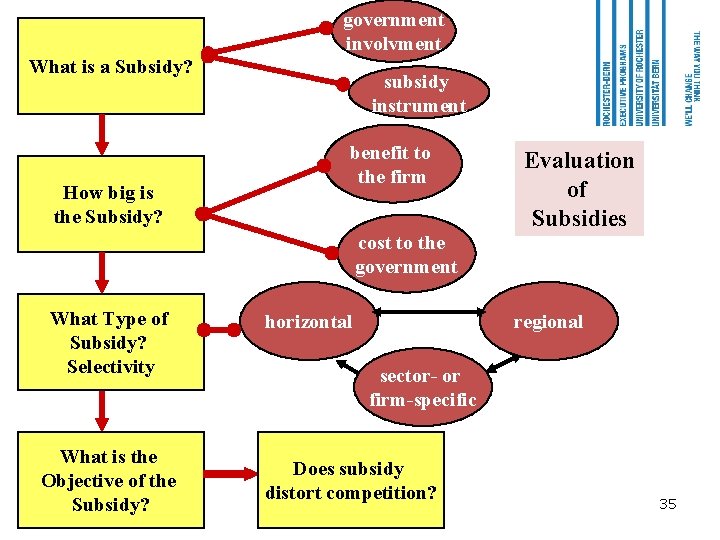 government involvment What is a Subsidy? How big is the Subsidy? subsidy instrument benefit