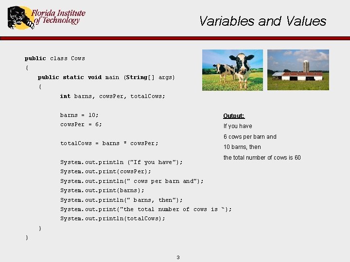 Variables and Values public class Cows { public static void main (String[] args) {