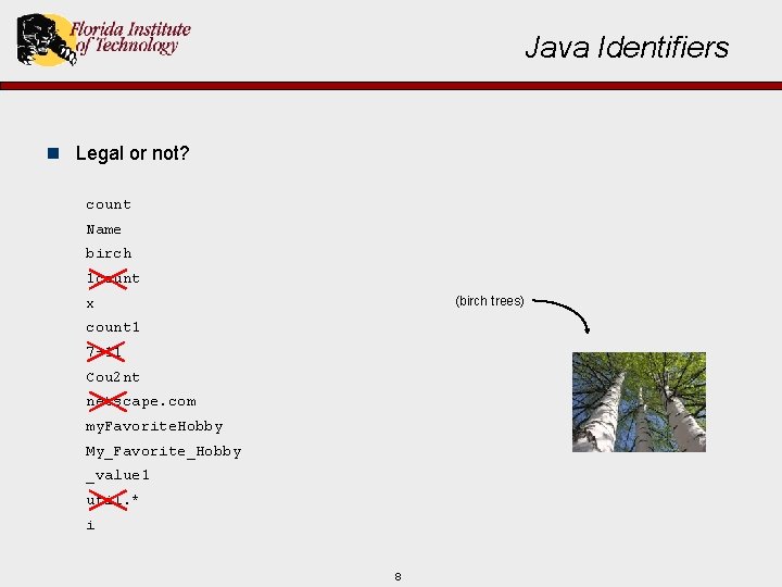 Java Identifiers n Legal or not? count Name birch 1 count (birch trees) x