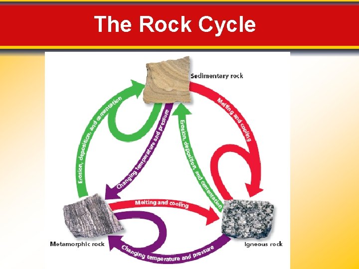 The Rock Cycle 