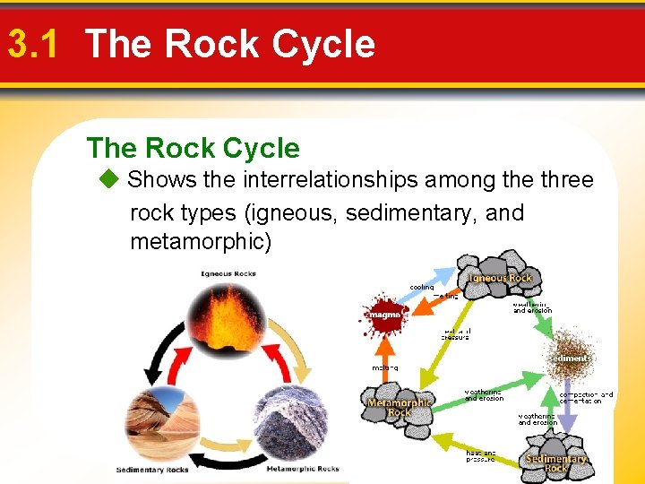 3. 1 The Rock Cycle Shows the interrelationships among the three rock types (igneous,