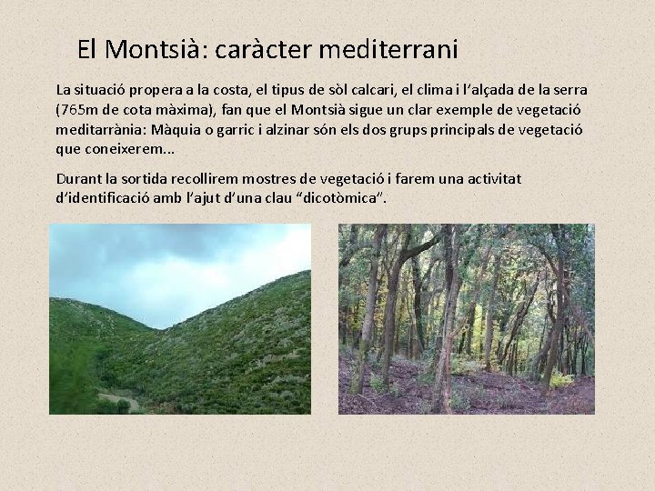 El Montsià: caràcter mediterrani La situació propera a la costa, el tipus de sòl