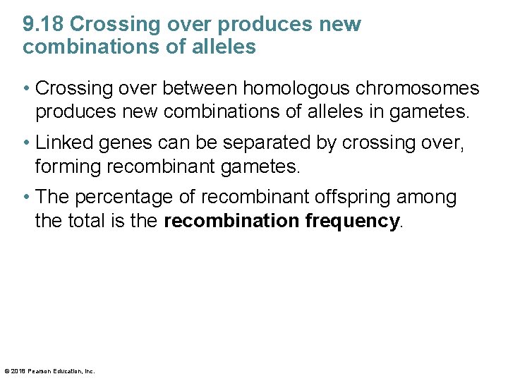 9. 18 Crossing over produces new combinations of alleles • Crossing over between homologous
