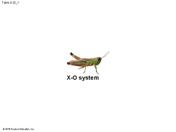 Table 9. 20_1 X-O system © 2018 Pearson Education, Inc. 