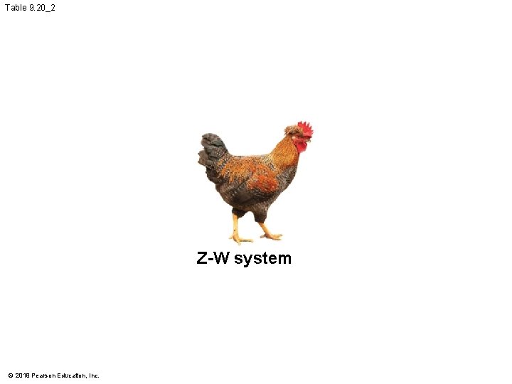 Table 9. 20_2 Z-W system © 2018 Pearson Education, Inc. 