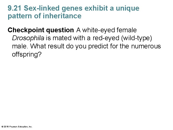 9. 21 Sex-linked genes exhibit a unique pattern of inheritance Checkpoint question A white-eyed