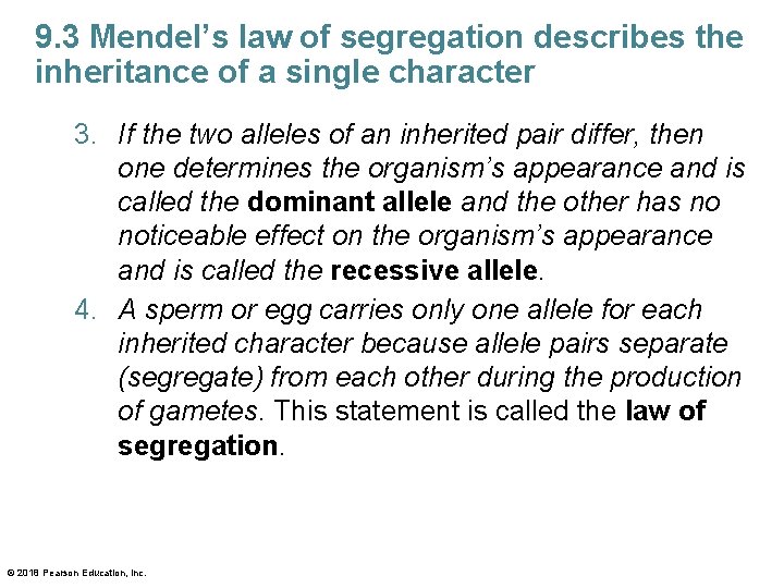 9. 3 Mendel’s law of segregation describes the inheritance of a single character 3.