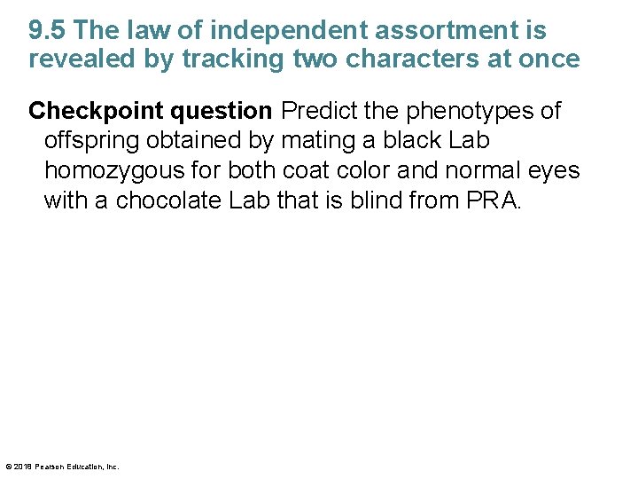9. 5 The law of independent assortment is revealed by tracking two characters at