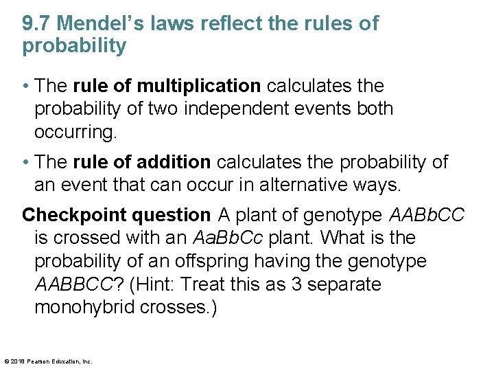 9. 7 Mendel’s laws reflect the rules of probability • The rule of multiplication