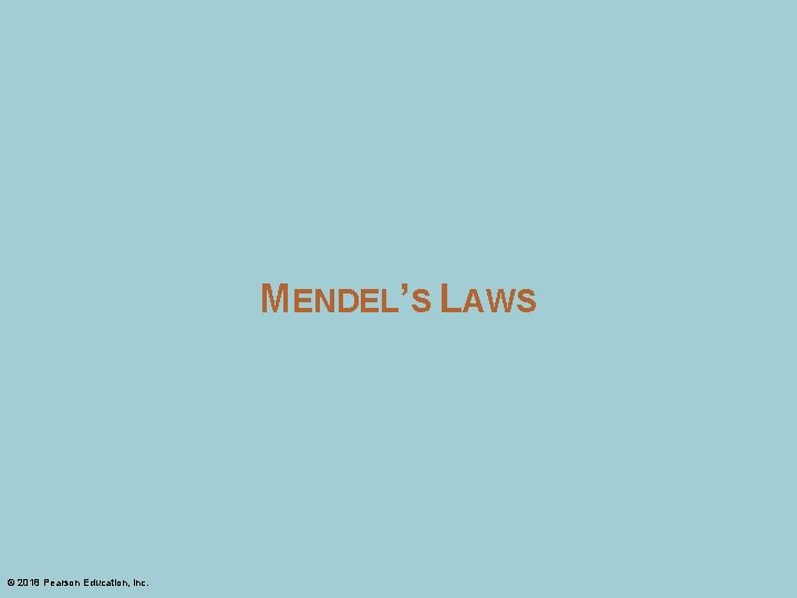 MENDEL’S LAWS © 2018 Pearson Education, Inc. 