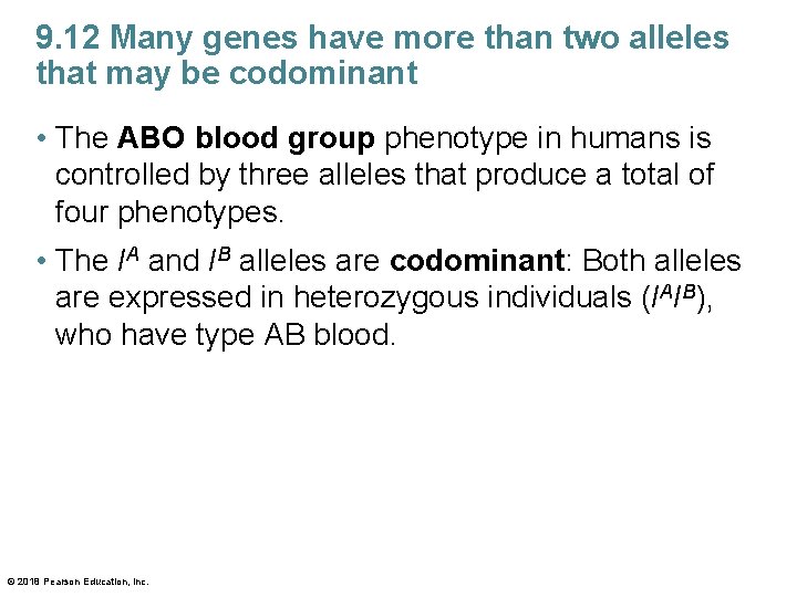 9. 12 Many genes have more than two alleles that may be codominant •
