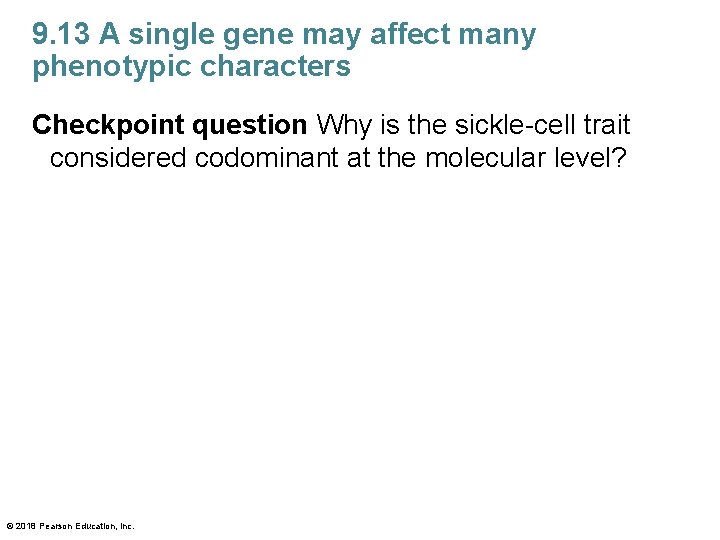 9. 13 A single gene may affect many phenotypic characters Checkpoint question Why is