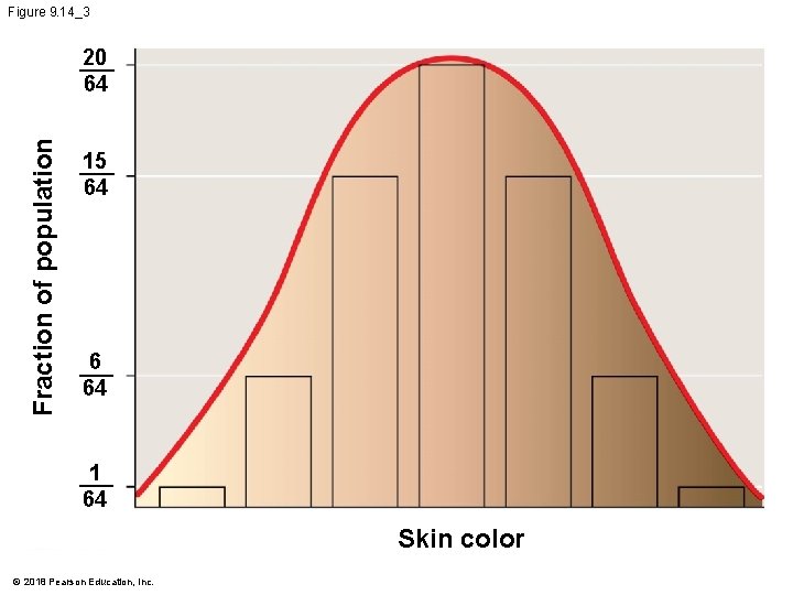 Figure 9. 14_3 Fraction of population 20 64 15 64 6 64 1 64