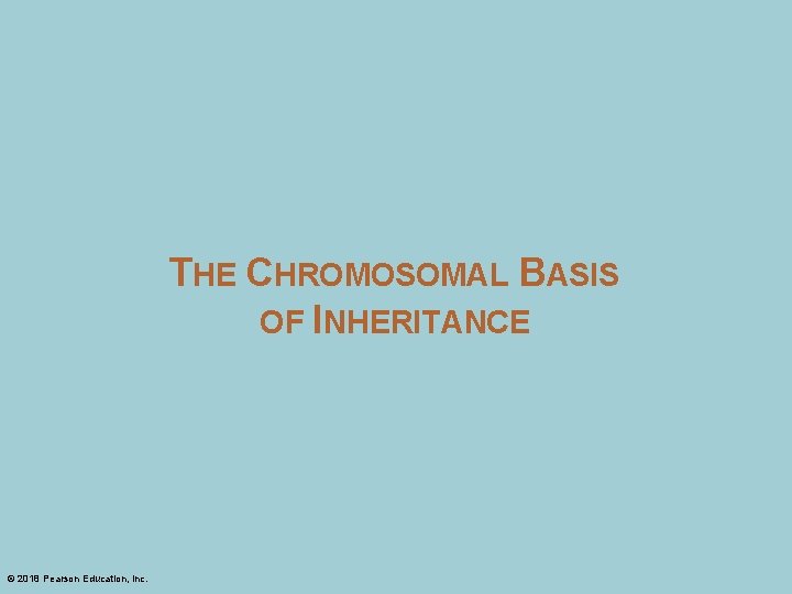 THE CHROMOSOMAL BASIS OF INHERITANCE © 2018 Pearson Education, Inc. 