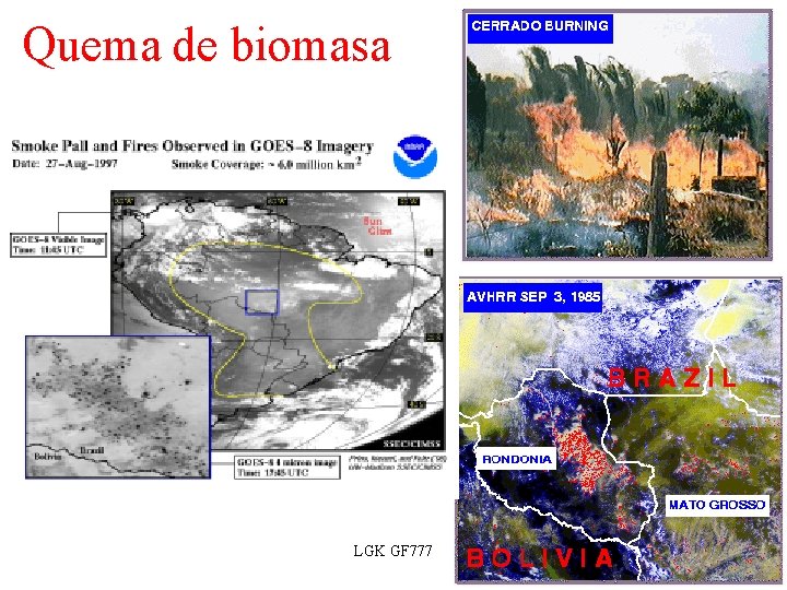 Quema de biomasa LGK GF 777 